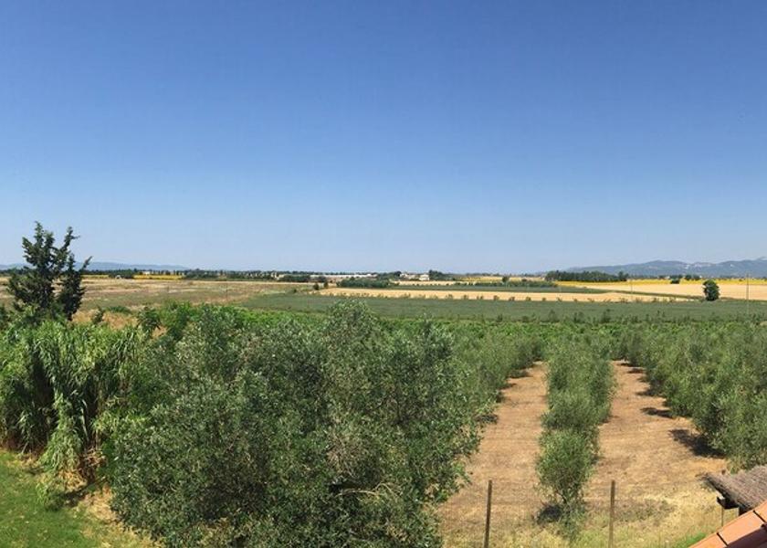 Tuscany Piombino Land View from Property