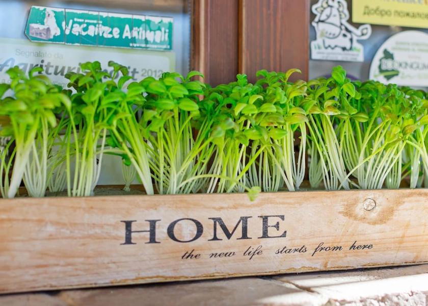 Umbria Citta Della Pieve Exterior Detail