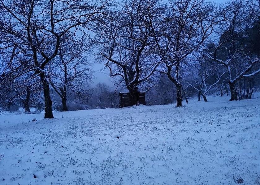 Tuscany Montevarchi View from Property