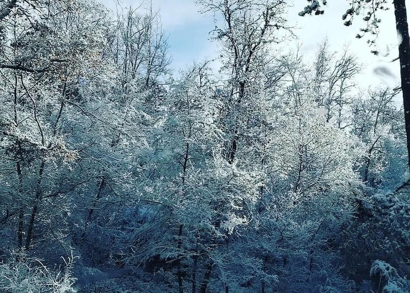 Tuscany Montevarchi View from Property