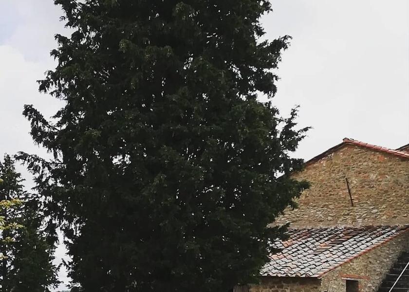 Tuscany Montevarchi Exterior Detail