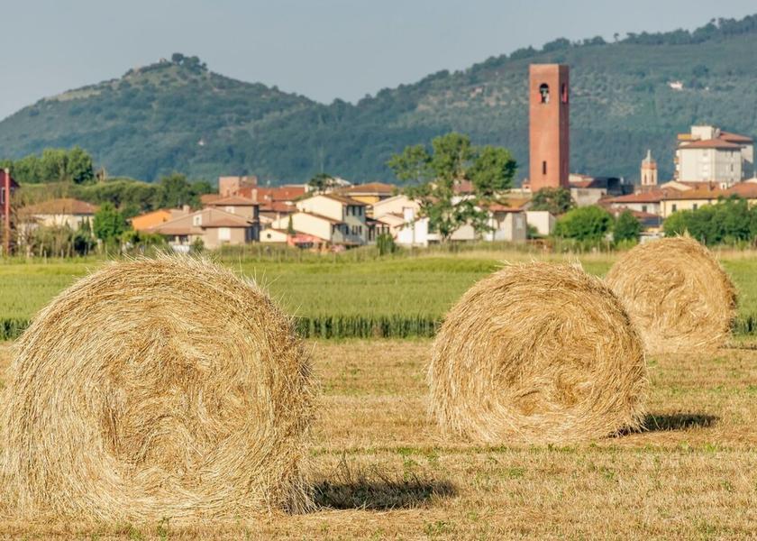 Tuscany Bientina Exterior Detail