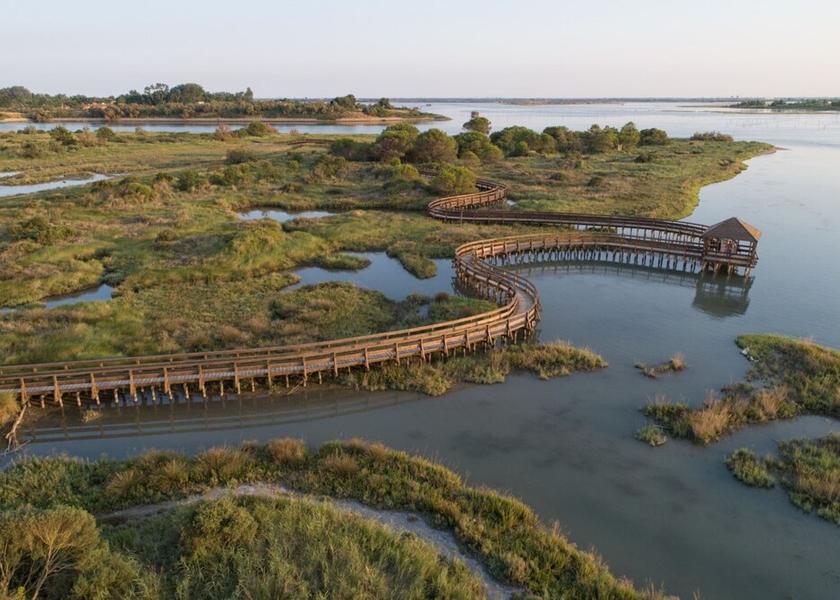 Veneto Rosolina Aerial View