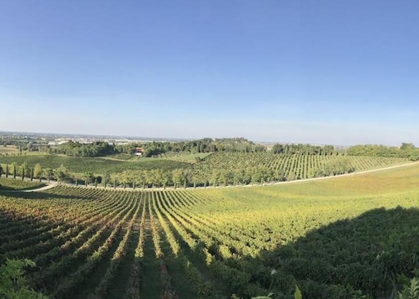 Emilia-Romagna Bertinoro View from Property