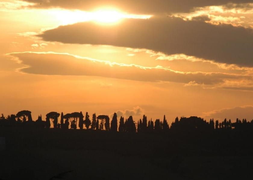 Emilia-Romagna Bertinoro View from Property