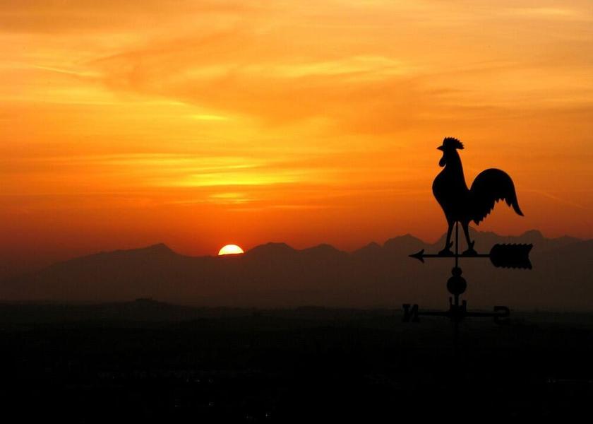 Tuscany Montelupo Fiorentino Exterior Detail