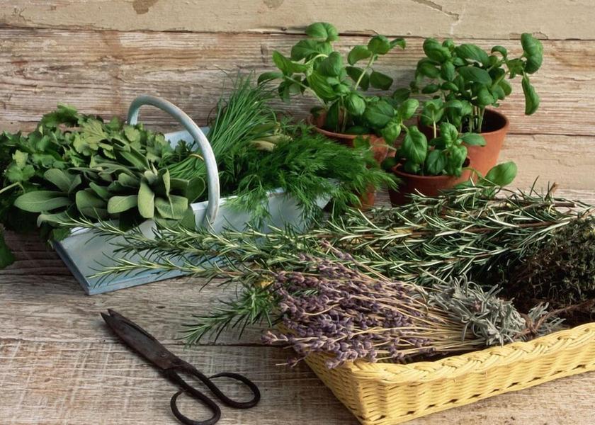 Tuscany Montelupo Fiorentino Exterior Detail