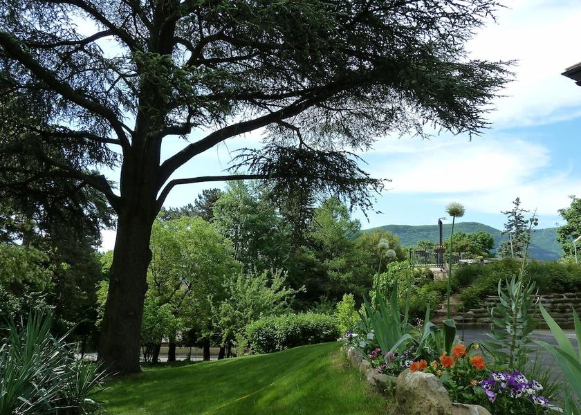 Auvergne-Rhone-Alpes Ambilly Garden