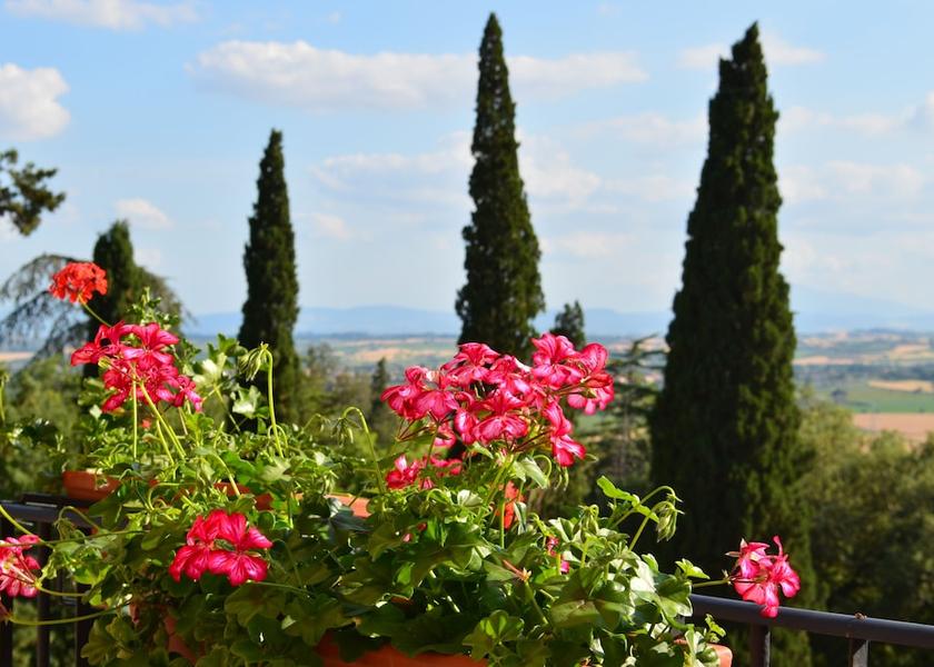 Tuscany Castiglion Fiorentino View from Property