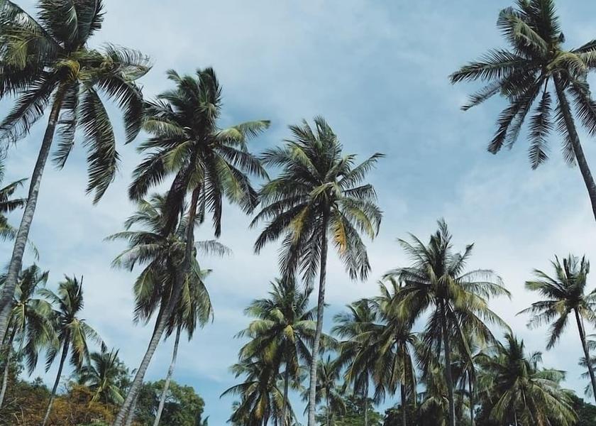 Phuket Ko Racha Yai Exterior Detail