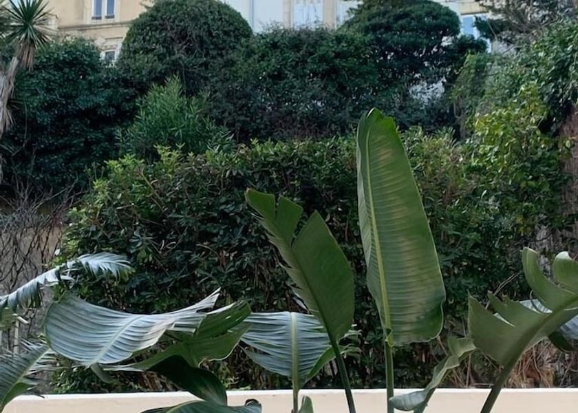 Nouvelle-Aquitaine Biarritz Terrace