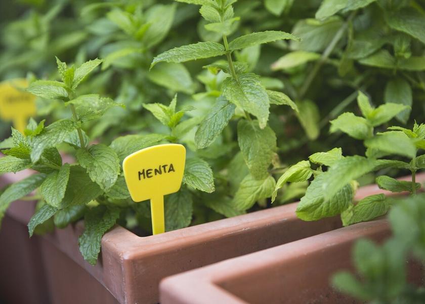 Veneto Jesolo Exterior Detail