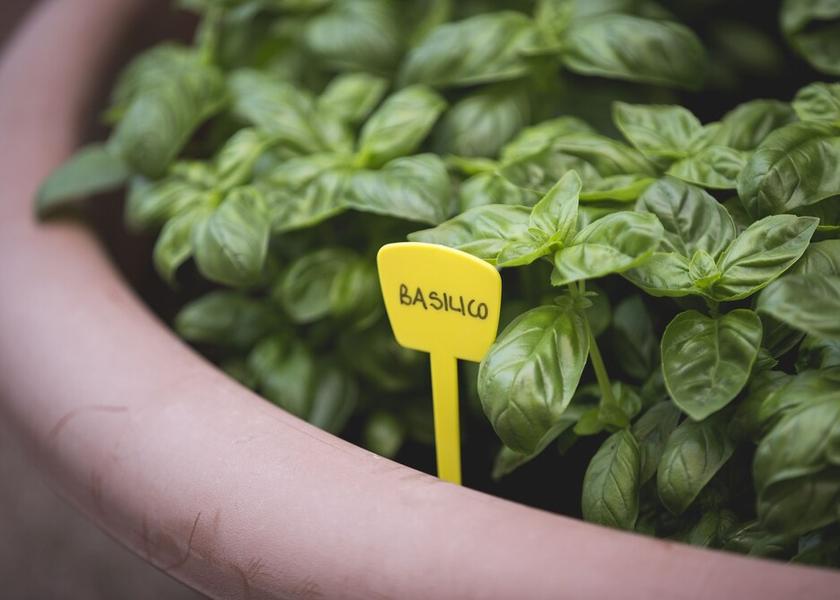 Veneto Jesolo Exterior Detail