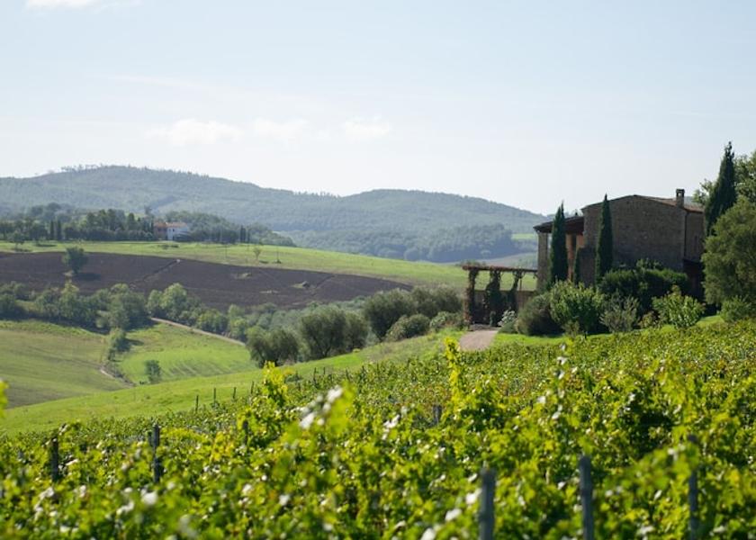 Tuscany Cinigiano Winery