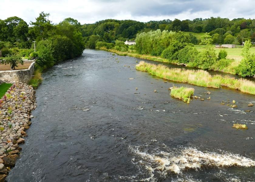 Scotland Carluke Property Grounds