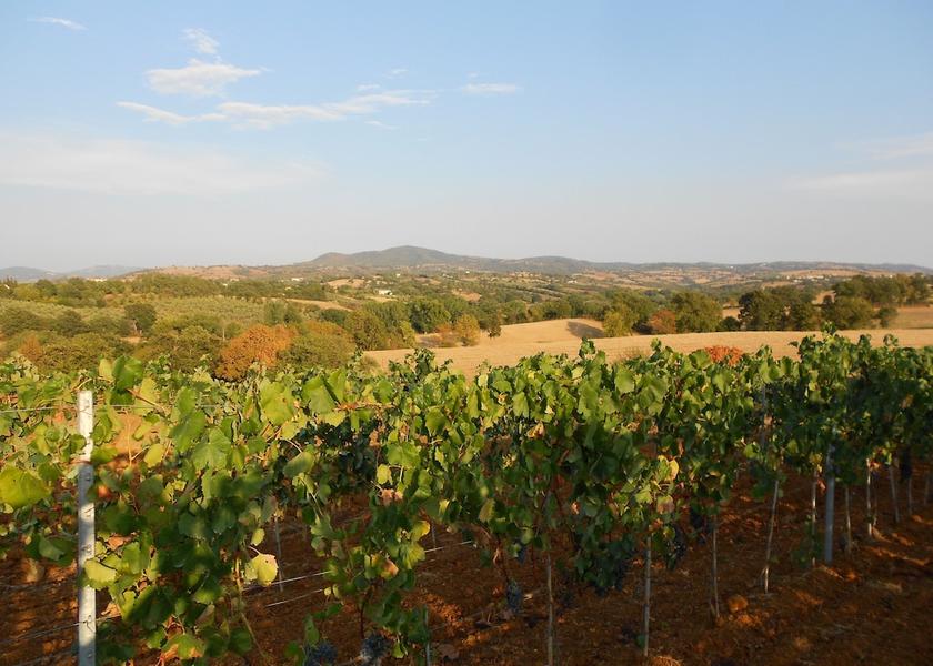 Tuscany Scansano Exterior Detail