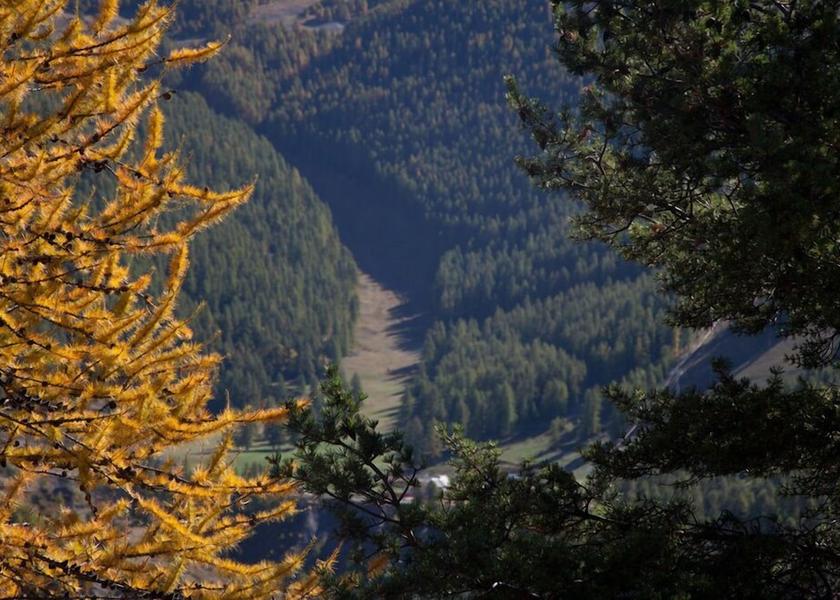 Land View from Property