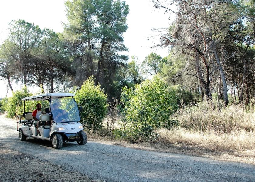 Basilicata Scanzano Jonico Property Grounds