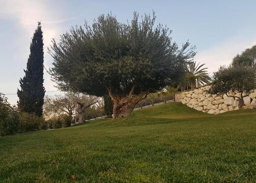 Sicily Caltanissetta Garden