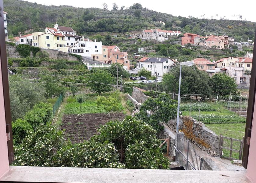 Land View from Property