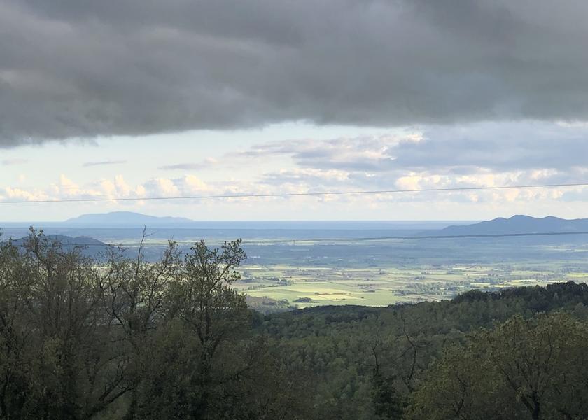 Tuscany Roccastrada Land View from Property