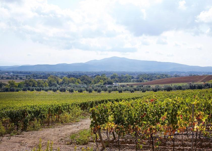 Tuscany Roccastrada View from Property