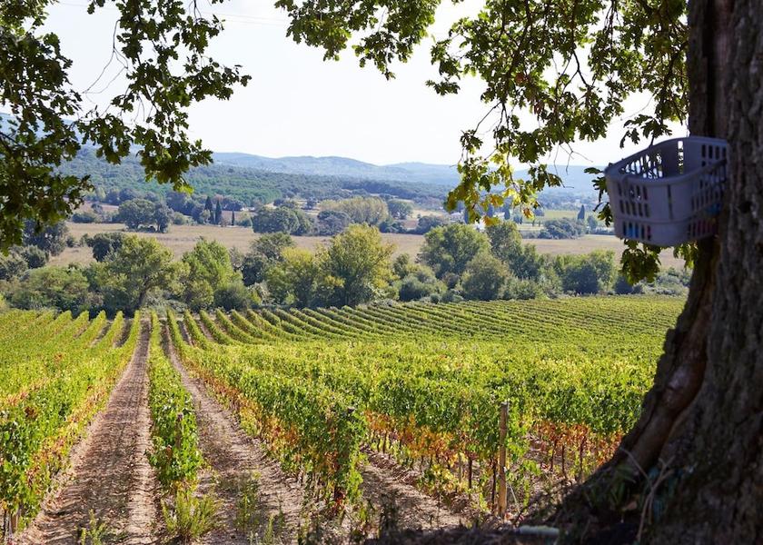 Tuscany Roccastrada View from Property