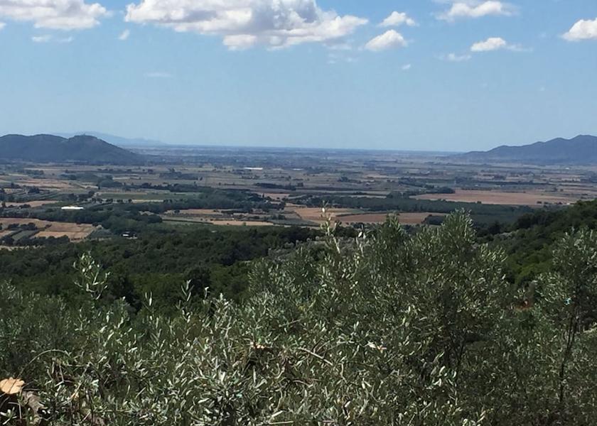 Tuscany Roccastrada Land View from Property