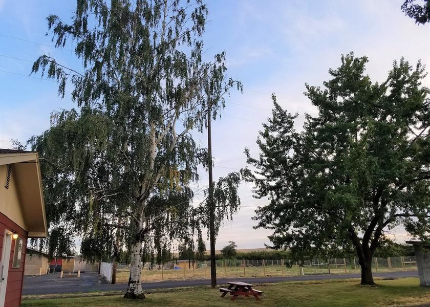 Oregon Milton-Freewater Land View from Property