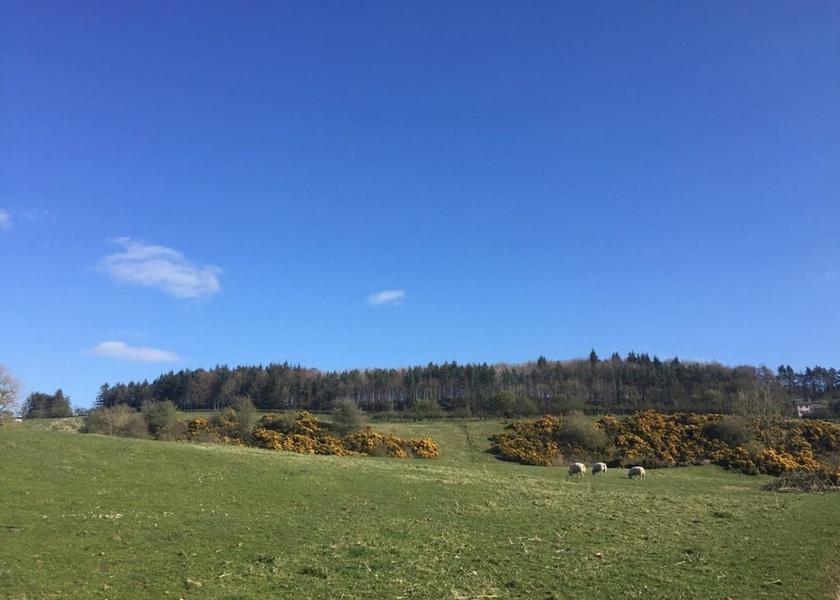 Scotland Hawick Property Grounds