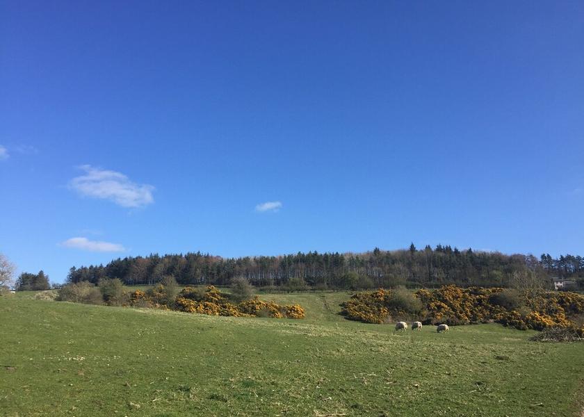 Scotland Hawick Property Grounds