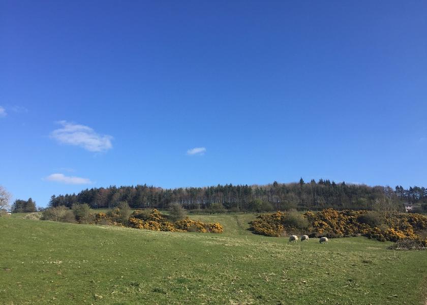 Scotland Hawick Property Grounds