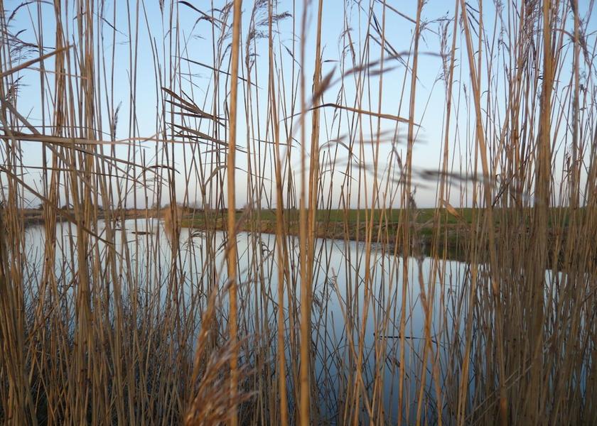 England Romney Marsh Exterior Detail
