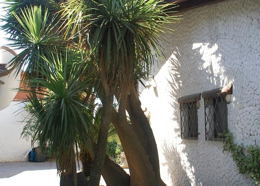 Sardinia Cabras Exterior Detail