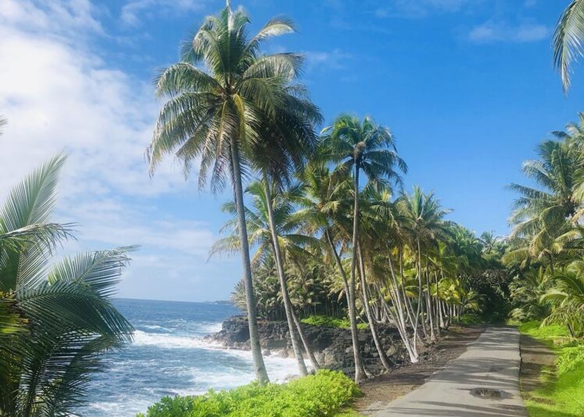 Hawaii Pahoa Exterior Detail