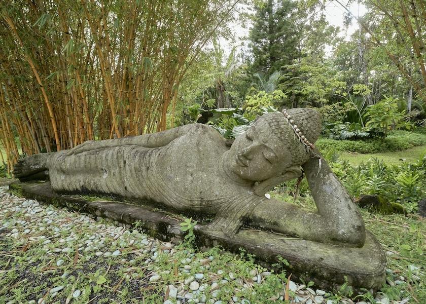 Hawaii Pahoa Garden