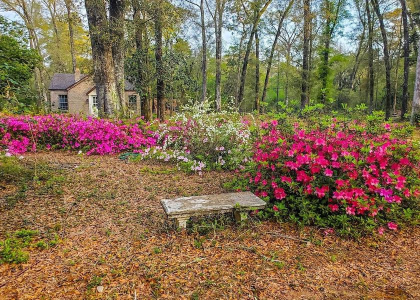 Florida Bonifay Interior Entrance
