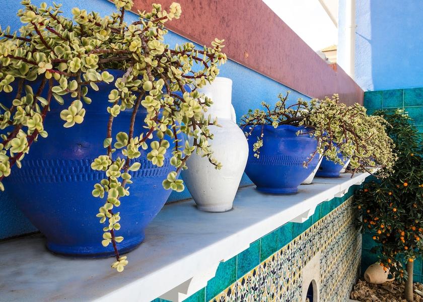 Sicily Mascali Terrace