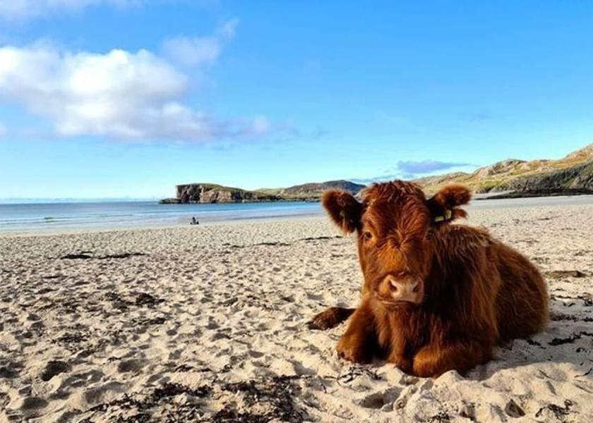 Scotland Lairg Beach