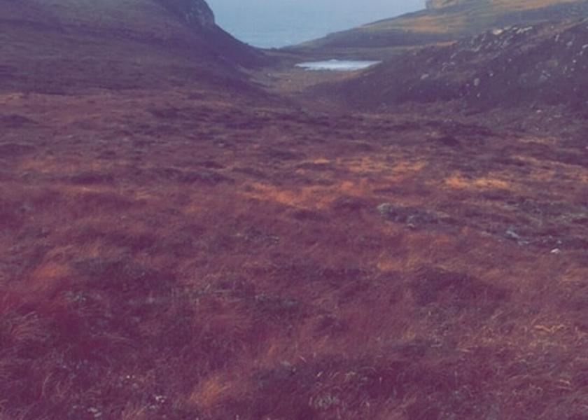 Scotland Lairg Property Grounds