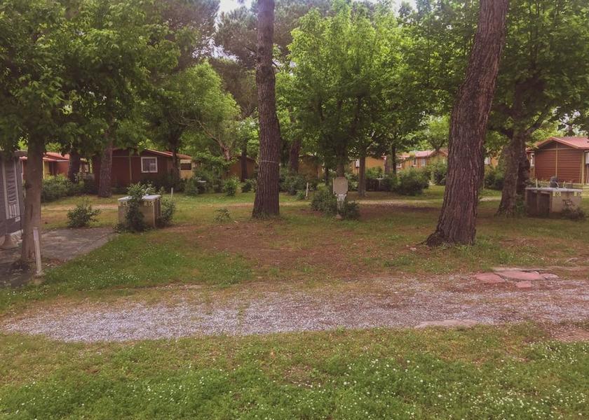 Tuscany Camaiore Garden