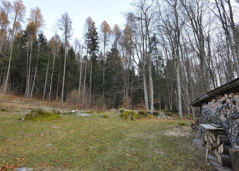 Trentino-Alto Adige Pinzolo Garden