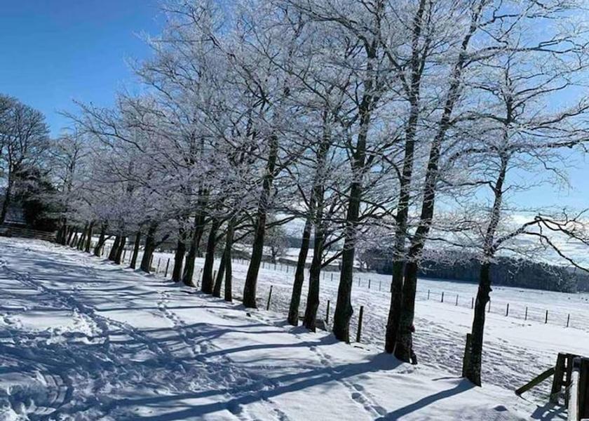 England Berwick-upon-Tweed Property Grounds