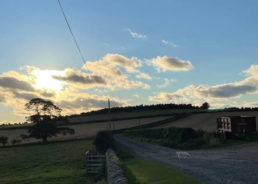 England Berwick-upon-Tweed Garden