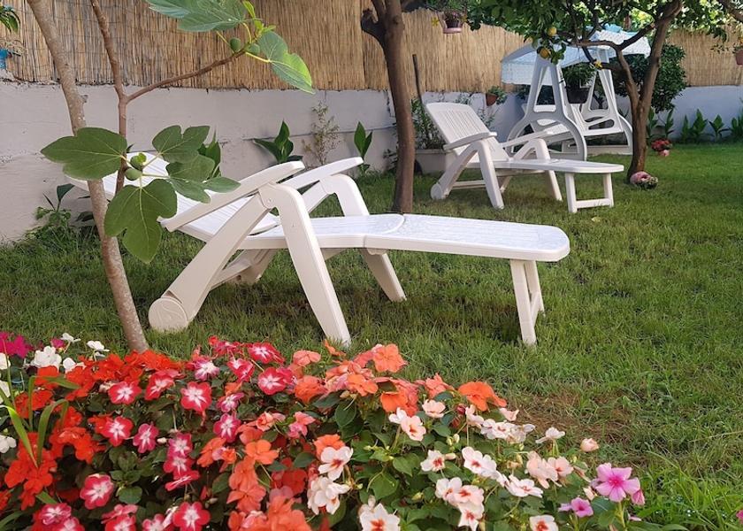 Campania Ascea Garden