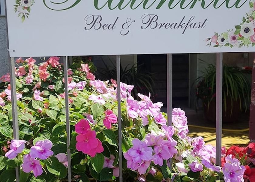 Campania Ascea Exterior Detail