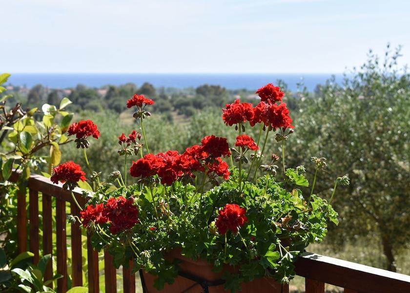 Campania Ascea Exterior Detail