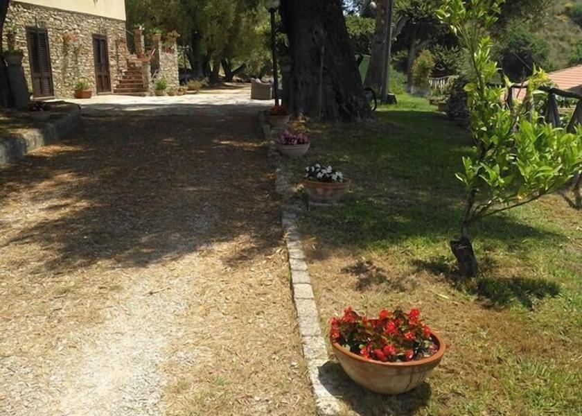 Campania Ascea Property Grounds