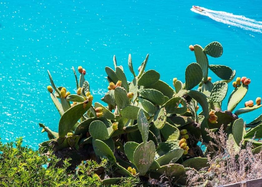 Calabria Isola di Capo Rizzuto Exterior Detail