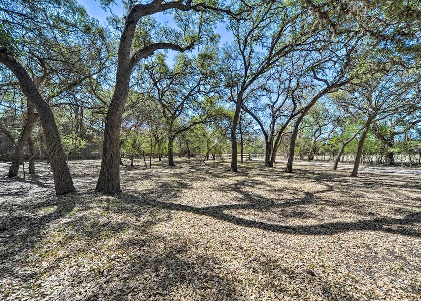 Texas Blanco Interior Entrance